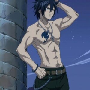 10 mecs d'Anime les plus populaires avec les cheveux Noirs et les yeux Bleus (2022) 9 Fullbuster gris (Fairy Tail)
