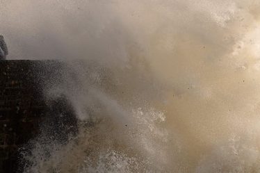 Morgan Stanley dit que les investisseurs devraient considérer ce port dans la tempête du marché en ce moment - 5