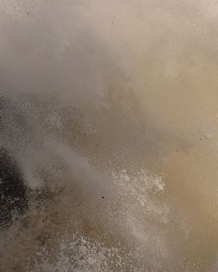 Morgan Stanley dit que les investisseurs devraient considérer ce port dans la tempête du marché en ce moment 54 Morgan Stanley dit que les investisseurs devraient considérer ce port dans la tempête du marché en ce moment - 53