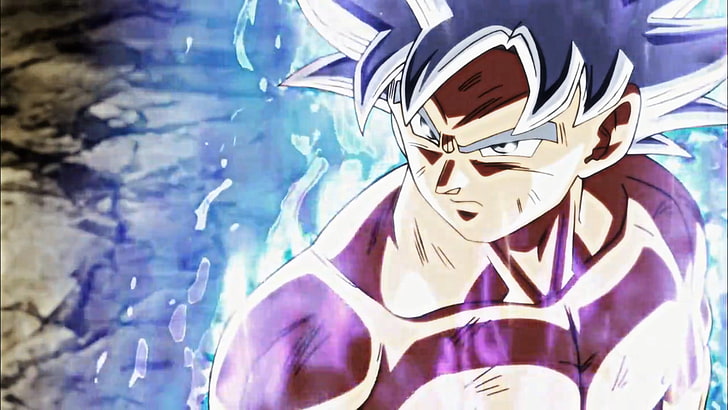 Beast Gohan contre Ultra Ego Vegeta contre MUI Goku : Qui gagnerait dans Dragon Ball ? (2022) 4 Goku Dragon Ball
