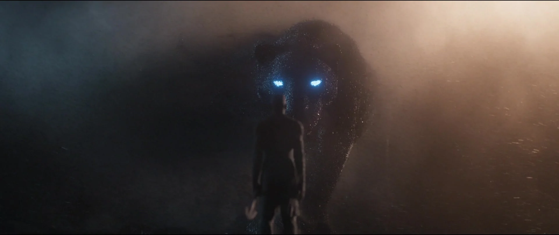 Wakanda Forever' afin de "continuer l'héritage de Chadwick Boseman" 16 Wakanda Forever' afin de "continuer l'héritage de Chadwick Boseman" - 15