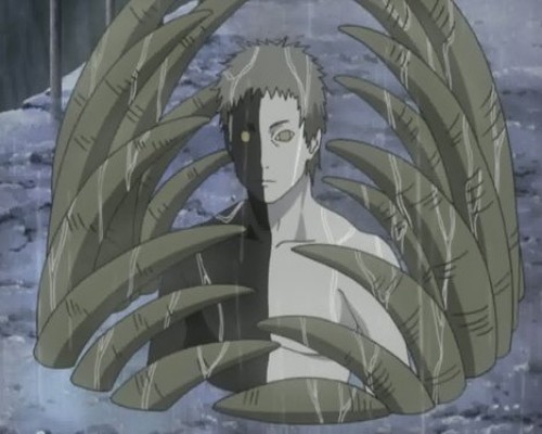 Qui est le principal méchant de Naruto & Naruto Shippuden ? 3 méchant-principal-dans-Naruto_black-zetsu