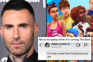 Les mèmes d'Adam Levine DM deviennent viraux au milieu des allégations de "sexting" - 8