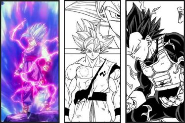 Beast Gohan contre Ultra Ego Vegeta contre MUI Goku : Qui gagnerait dans Dragon Ball ? (2022) - 12
