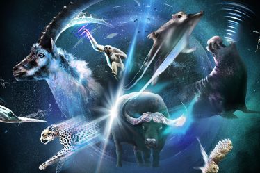Cinq raisons de regarder la série documentaire Super/Natural - 7