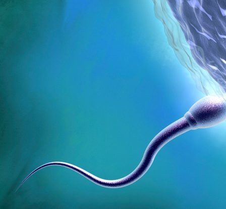 Une protéine qui aide les spermatozoïdes à fusionner avec les ovules pourrait améliorer les traitements de fertilité 15 Une protéine qui aide les spermatozoïdes à fusionner avec les ovules pourrait améliorer les traitements de fertilité - 14