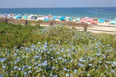 La découverte en Israël de la tombe du temps de Ramsès II – Science et Avenir › Geeky News - 5