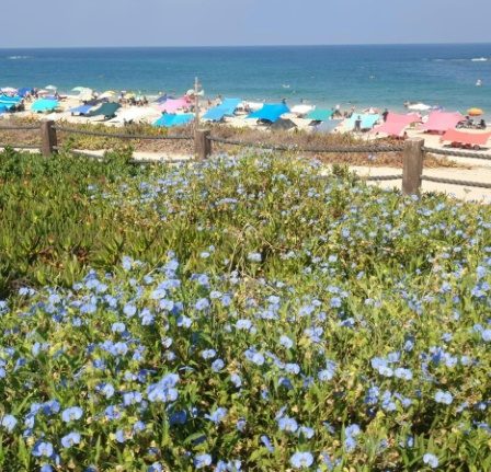 La découverte en Israël de la tombe du temps de Ramsès II – Science et Avenir › Geeky News 75 La découverte en Israël de la tombe du temps de Ramsès II – Science et Avenir › Geeky News - 74