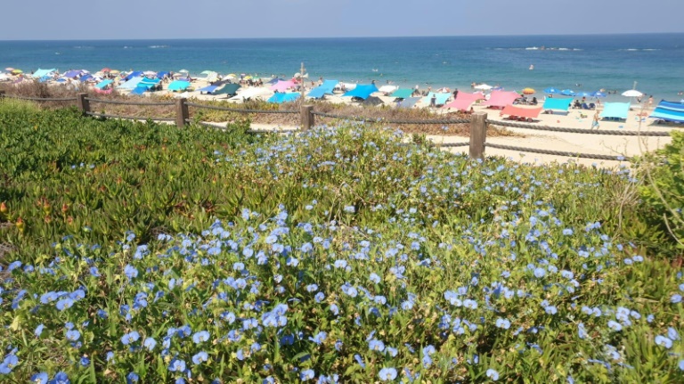 La découverte en Israël de la tombe du temps de Ramsès II – Science et Avenir › Geeky News 2 La découverte en Israël de la tombe du temps de Ramsès II – Science et Avenir › Geeky News - 1