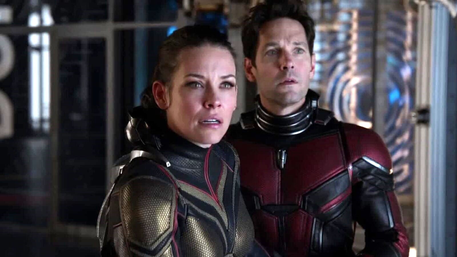 La nouvelle séquence "Ant-Man 3" inquiète les fans alors que le plus gros problème de la phase quatre est identifié 2 La nouvelle séquence "Ant-Man 3" inquiète les fans alors que le plus gros problème de la phase quatre est identifié - 1