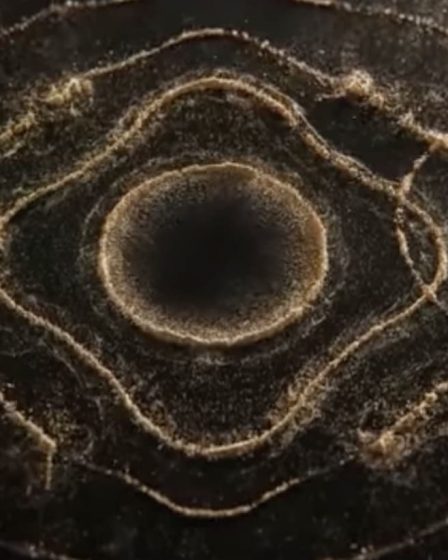 L'histoire du générique d'ouverture de The Rings of Power 132 L'histoire du générique d'ouverture de The Rings of Power - 131