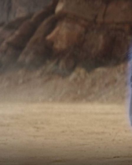 Liam Neeson révèle comment son retour en tant que Qui-Gon Jinn dans Obi-Wan Kenobi lui a été présenté - 144