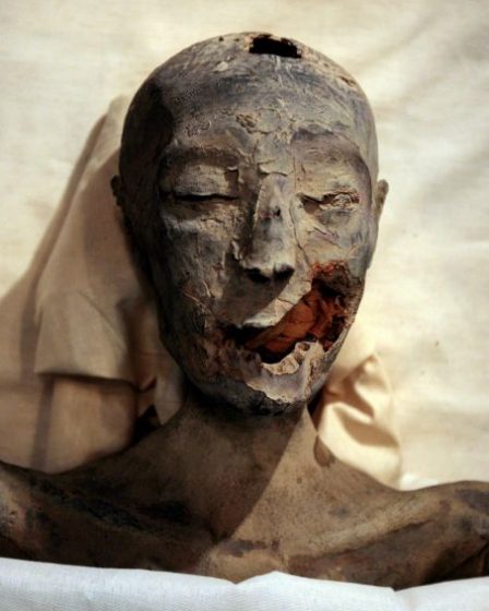 L'identification prochaine de la momie de Néfertiti selon Zaha Hawass – Science et Avenir › Geeky News 28 L'identification prochaine de la momie de Néfertiti selon Zaha Hawass – Science et Avenir › Geeky News - 27