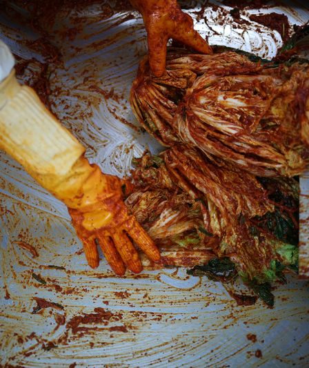 Pour faire face à une crise du kimchi, la Corée du Sud mise sur d'énormes entrepôts de choux | Le puissant 790 KFGO 75 Pour faire face à une crise du kimchi, la Corée du Sud mise sur d'énormes entrepôts de choux | Le puissant 790 KFGO - 74