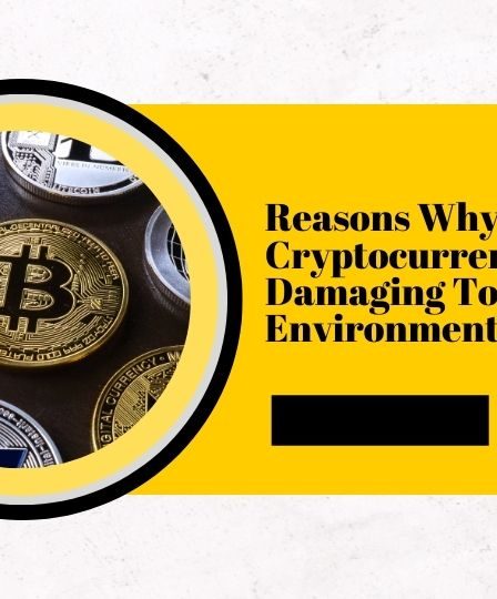 3 Raisons pour lesquelles la crypto-monnaie est très dommageable pour l'environnement 12 3 Raisons pour lesquelles la crypto-monnaie est très dommageable pour l'environnement - 11