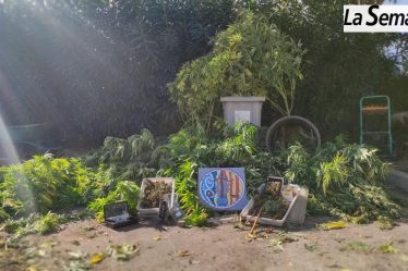 Région – Cultiver des plants de cannabis dans une décharge de voiture. › Actualités Geek - 3