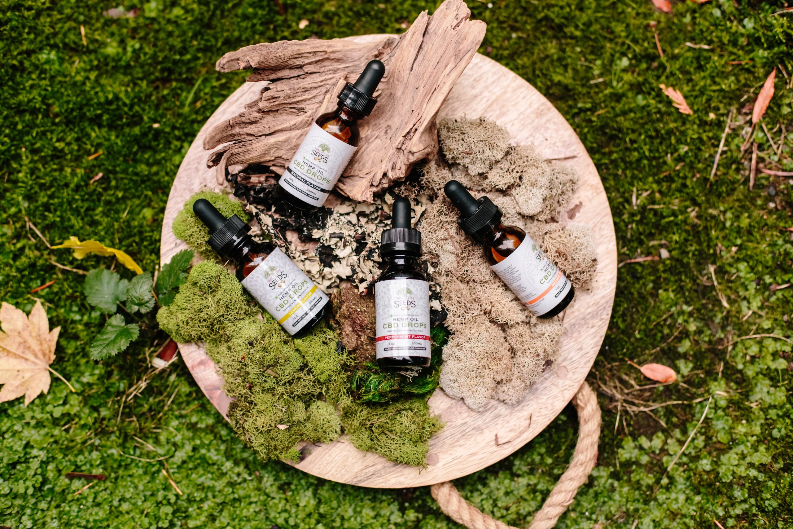 Où trouver de l’amnesia en cbd pas cher ? 2 Où trouver de l’amnesia en cbd pas cher ? - 1