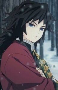Top 15 des mecs animés aux longs cheveux noirs (2022) 15 Tomioko Giyuu (tueur de démons)