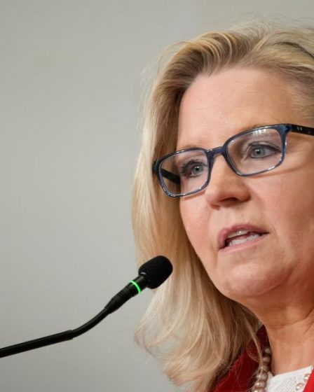 Liz Cheney dit que les candidats républicains de l'Arizona menacent la démocratie 14 Liz Cheney dit que les candidats républicains de l'Arizona menacent la démocratie - 13