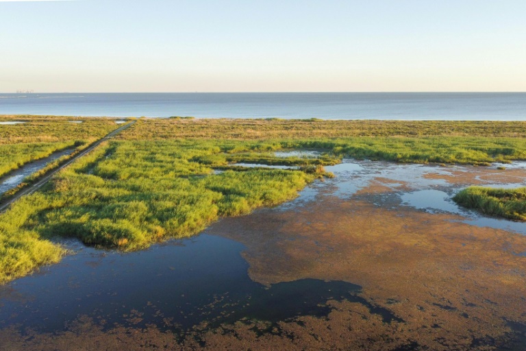 Rivage à Cameron, Louisiane, le 29 septembre 2022. (AFP - François Picard)