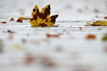 La bourse sera-t-elle ouverte le Columbus Day ? - 9