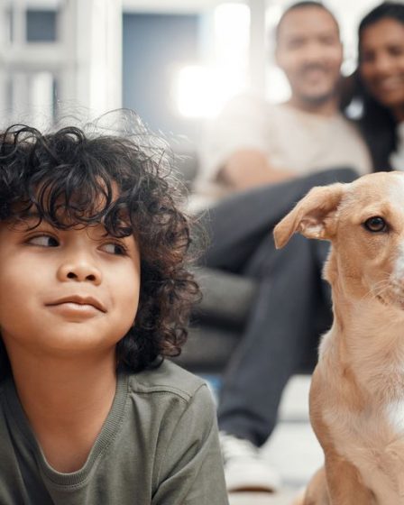 Les propriétaires facturent aux locataires un «loyer pour animaux de compagnie» et des frais de 600 $. Certains propriétaires d'animaux, déjà sous la pression de la hausse des loyers, ne sont pas contents. 74 Les propriétaires facturent aux locataires un «loyer pour animaux de compagnie» et des frais de 600 $. Certains propriétaires d'animaux, déjà sous la pression de la hausse des loyers, ne sont pas contents. - 73