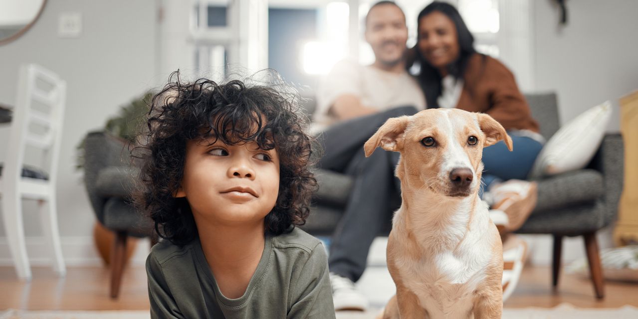 Les propriétaires facturent aux locataires un «loyer pour animaux de compagnie» et des frais de 600 $. Certains propriétaires d'animaux, déjà sous la pression de la hausse des loyers, ne sont pas contents. - 1