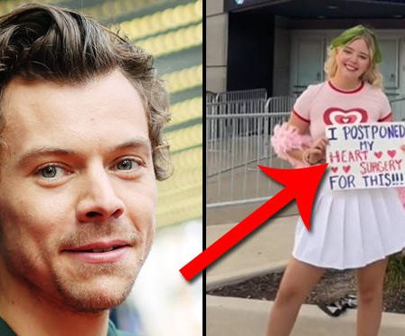 Un fan de Harry Styles devient viral après avoir retardé une opération cardiaque pour le voir en tournée 10 Un fan de Harry Styles devient viral après avoir retardé une opération cardiaque pour le voir en tournée - 9