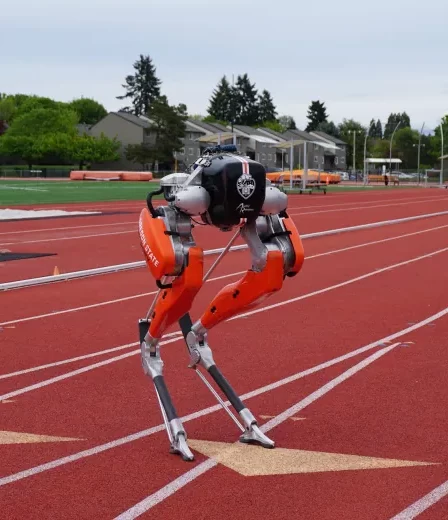 Ce robot a battu un record du monde, mais son entraîneur dit qu'il n'est "pas encore dangereux" – Reuters › 34 Ce robot a battu un record du monde, mais son entraîneur dit qu'il n'est "pas encore dangereux" – Reuters › - 33