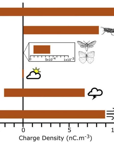 Des essaims d'insectes peuvent générer autant d'électricité statique qu'un nuage d'orage. › Actualités Geek 2 Des essaims d'insectes peuvent générer autant d'électricité statique qu'un nuage d'orage. › Actualités Geek - 1