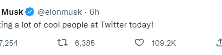 Dogecoin explose alors qu'Elon Musk prend d'assaut le siège social de Twitter › - 40