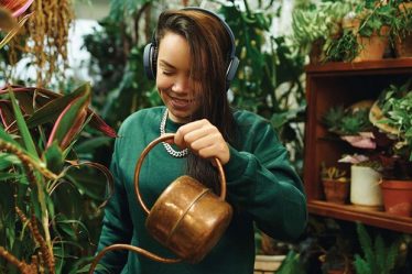 Les plantes d'intérieur améliorent-elles réellement la qualité de l'air ? - 7