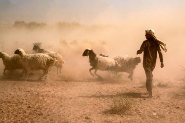 L'Irak creuse des puits, remède amer à la sécheresse – Science et Avenir › - 12