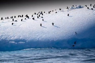 La goélette Tara va révéler les secrets de l'iceberg de Tasmanie – Science et Avenir › - 8