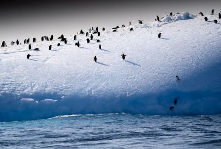 La goélette Tara va révéler les secrets de l'iceberg de Tasmanie – Science et Avenir › 81 La goélette Tara va révéler les secrets de l'iceberg de Tasmanie – Science et Avenir › - 80