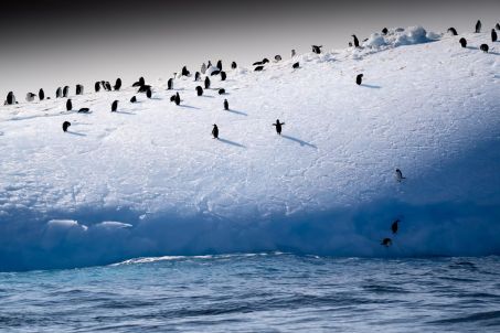 La goélette Tara va révéler les secrets de l'iceberg de Tasmanie – Science et Avenir › 2 La goélette Tara va révéler les secrets de l'iceberg de Tasmanie – Science et Avenir › - 1