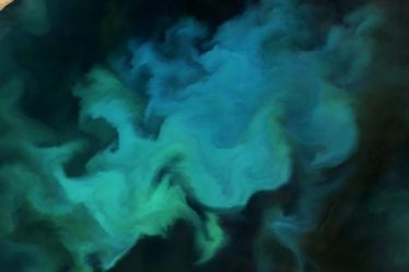 « Le bloom océanique est aussi une zone de guerre » – Science et Avenir › - 3