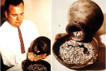 Les Mayas ont fortement pollué leurs habitats au mercure – Science et Avenir › - 7