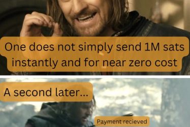 Michael Saylor récompense les mèmes viraux via Lightning Network › - 7
