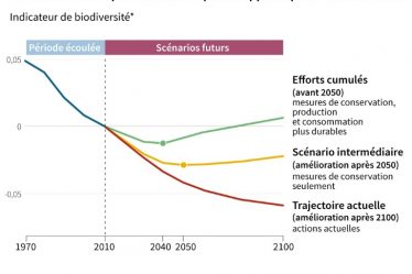 Près de 70 % des animaux sauvages ont disparu depuis 1970, selon le WWF. › Actualités Geek - 3