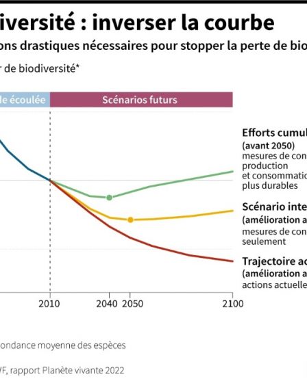 Près de 70 % des animaux sauvages ont disparu depuis 1970, selon le WWF. › Actualités Geek 73 Près de 70 % des animaux sauvages ont disparu depuis 1970, selon le WWF. › Actualités Geek - 72