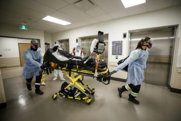Système Canadien de la Douleur – Sciences et Avenir › Actualités Geek - 7