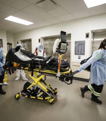 Système Canadien de la Douleur – Sciences et Avenir › Actualités Geek 24 Système Canadien de la Douleur – Sciences et Avenir › Actualités Geek - 23
