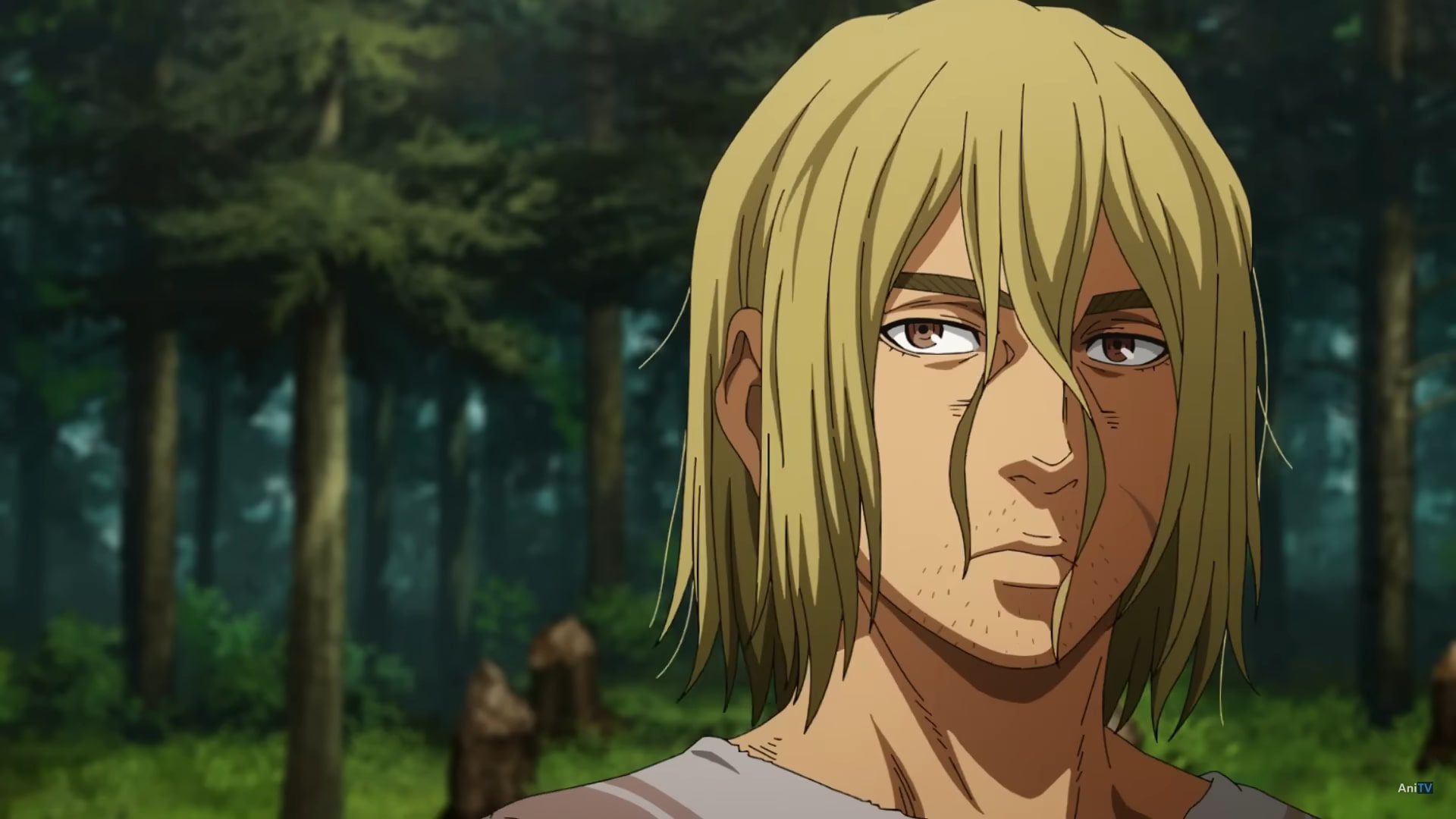 Vinland Saga Chapitre 198 Date de sortie : Y aura-t-il pas de paix ? 2 Vinland Saga Chapitre 198 Date de sortie : Y aura-t-il pas de paix ? - 1