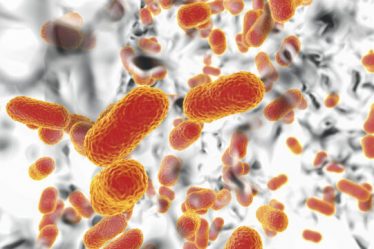 Un nouvel outil d'IA transparent pourrait aider à détecter l'empoisonnement du sang - 3
