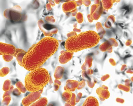 Un nouvel outil d'IA transparent pourrait aider à détecter l'empoisonnement du sang 16 Un nouvel outil d'IA transparent pourrait aider à détecter l'empoisonnement du sang - 15