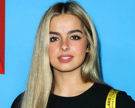 Addison Rae: 26 faits sur la star de TikTok que vous devez savoir - 17