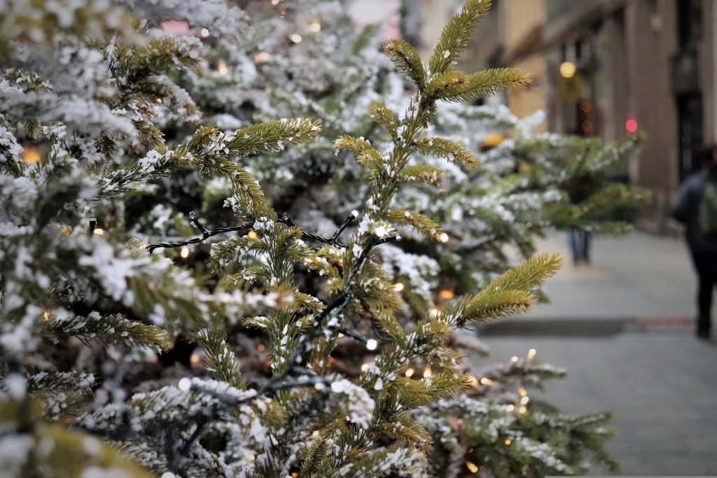 Pourquoi les sapins en bois sont-ils si populaires ? 6 Pourquoi les sapins en bois sont-ils si populaires ? - 5