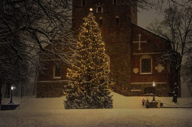 Pourquoi les sapins en bois sont-ils si populaires ? - 14