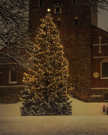 Pourquoi les sapins en bois sont-ils si populaires ? 2 Pourquoi les sapins en bois sont-ils si populaires ? - 1